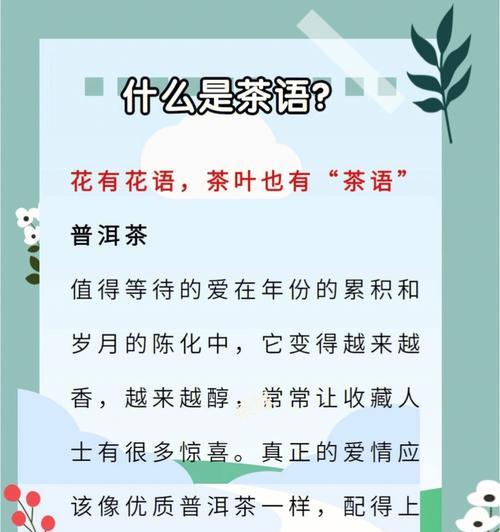 茉莉花语大全包含哪些含义？