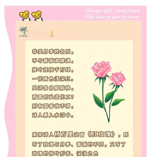 北京花语玫瑰有什么特别含义？