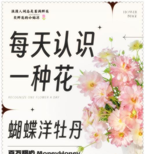 白花毛茛的花语有何寓意？