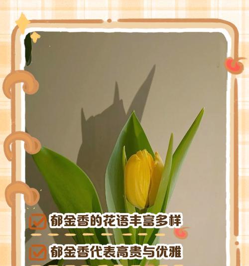 哪些花语代表高贵典雅？