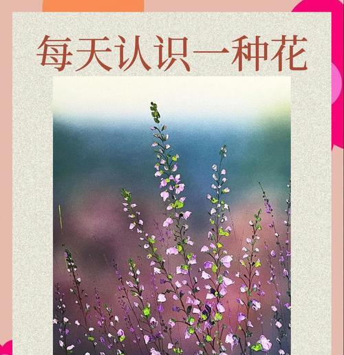 花语中的勇气象征是什么？如何用花语表达勇气？