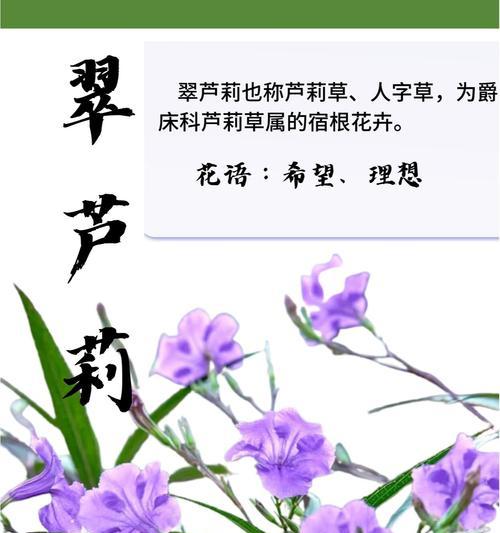 花期等待的花语是什么？花期等待花语有何寓意？