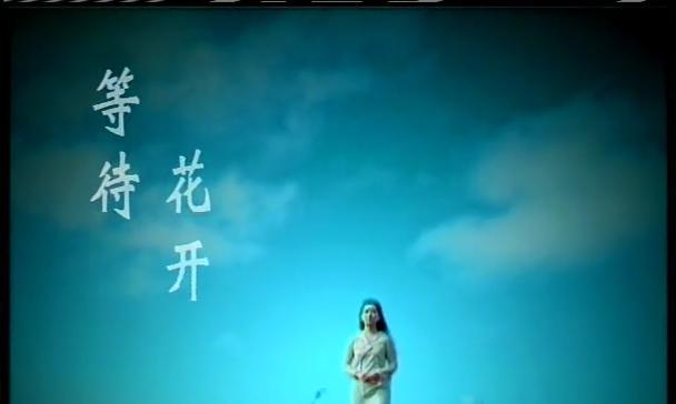 花期等待的花语是什么？花期等待花语有何寓意？