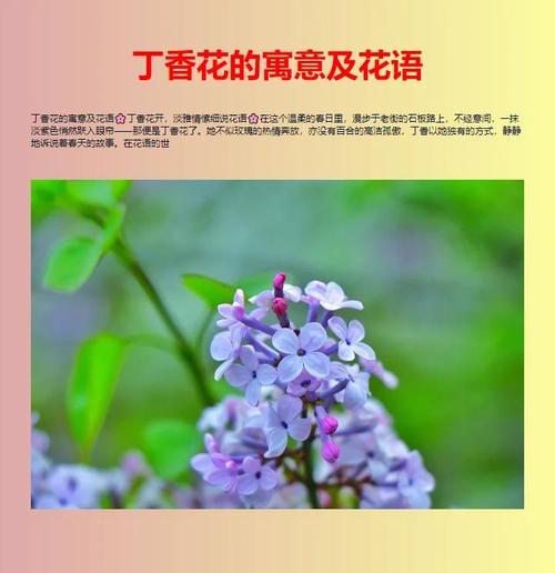 花语中代表初恋的是什么？初恋的花语有何含义？