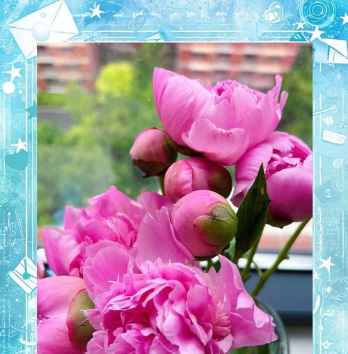 花语中代表初恋的是什么？初恋的花语有何含义？
