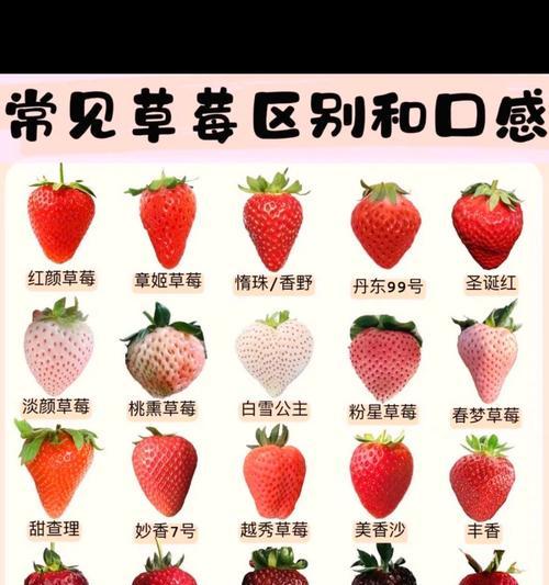 21草莓花语有哪些含义？
