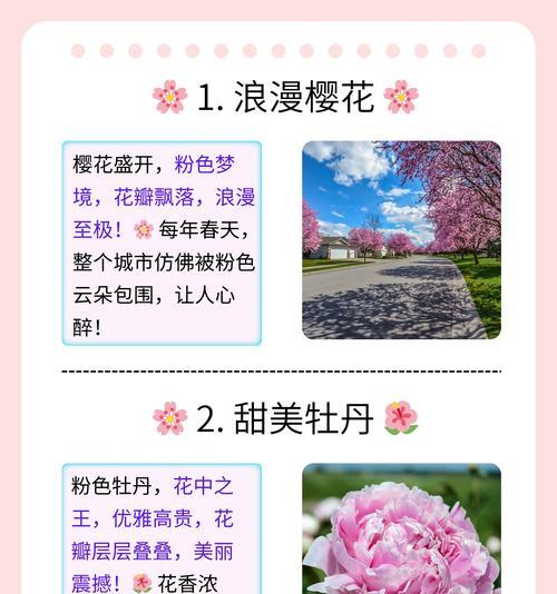 樱花花语有哪些不为人知的含义？