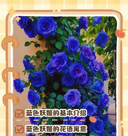 蓝色花束的花语是什么？如何表达哀思？