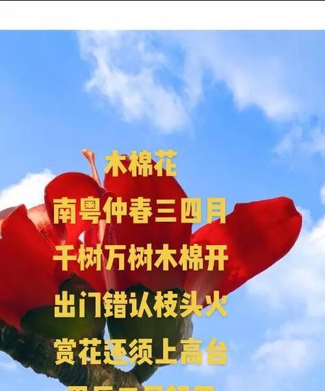 木棉面膜的花语含义是什么？适合什么肤质？