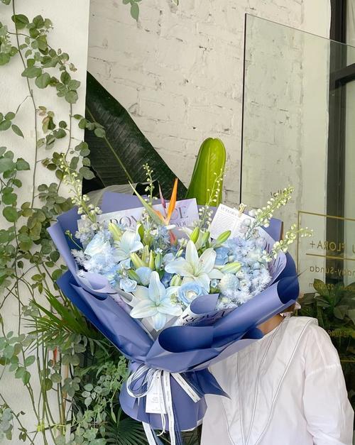大飞燕的花语代表什么？送花时应注意什么？