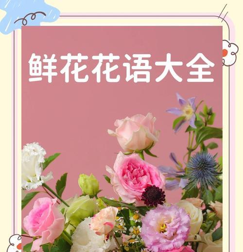 巴西龙骨的花语是什么？适合什么样的场合？
