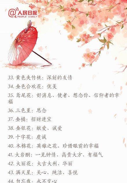巴西龙骨的花语是什么？适合什么样的场合？