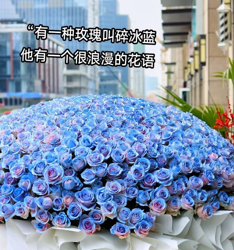 水薄荷的花语有哪些？如何用花语传递情感？