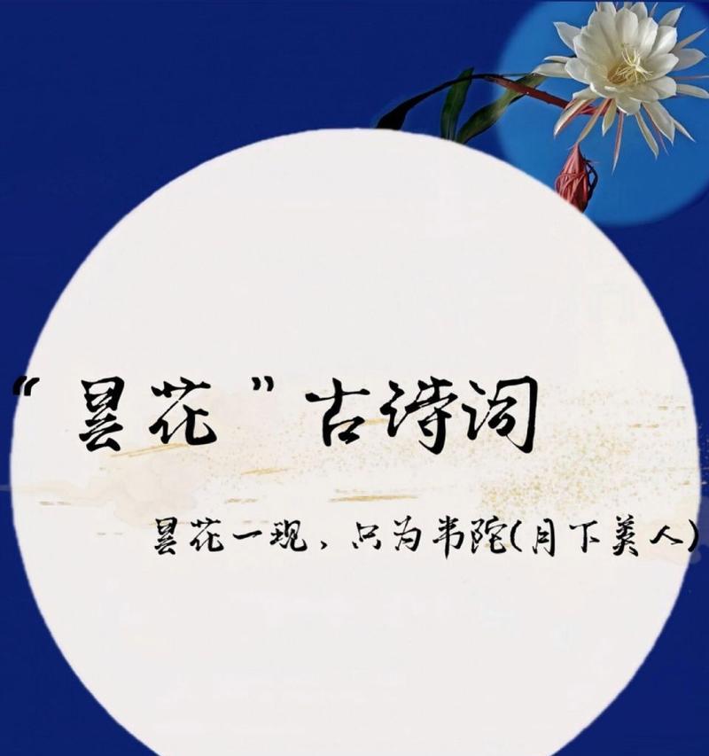 昙花的花语是什么？昙花一现的寓意何在？