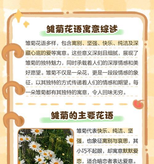 各色菊花的花语是什么？如何表达赞美与祝福？