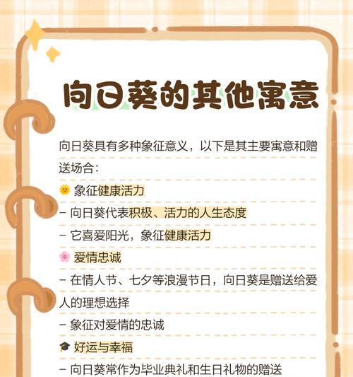 太阳花的花语如何形容？它象征着什么？