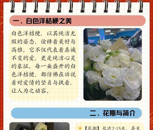 花卉花语有哪些知识？花卉花语知识如何学习？