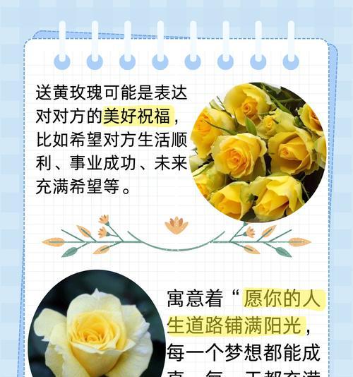 希望有人的花语是什么？如何用花语表达希望？