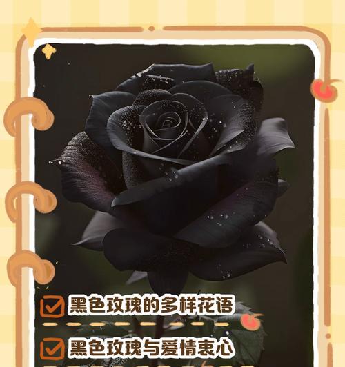 花语如何代表真心？花语中表达真心的含义是什么？