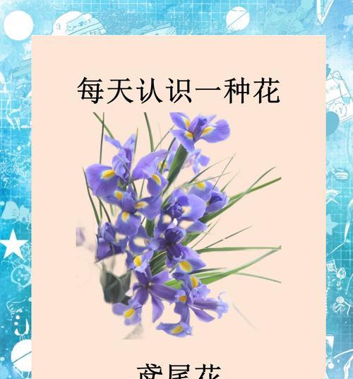 鸟尾花的花语是什么？鸟尾花花语的含义有哪些？