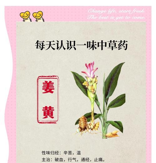 黄姜花的花语是什么？如何表达爱意？