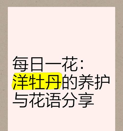 洋毛茛花语代表什么？送花时应注意什么？