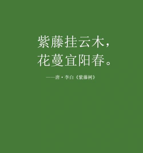 日本紫藤花的花语是什么？如何欣赏其美？