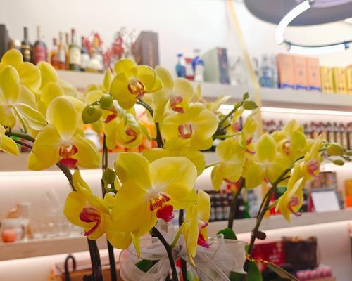 春兰的花语是什么？如何用春兰表达情感？