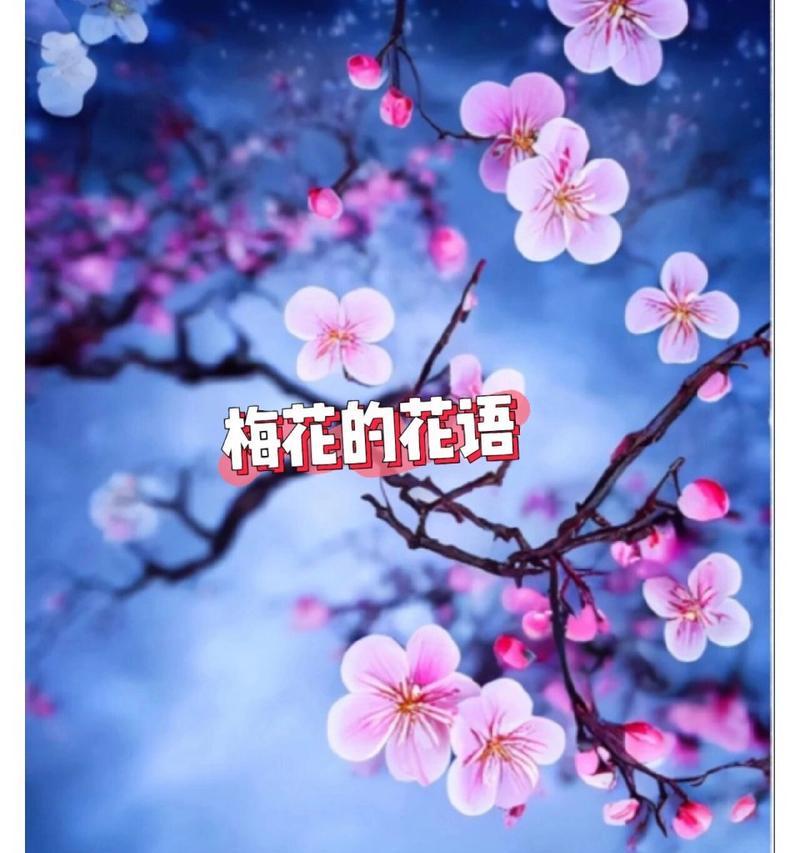 梅花的花语有哪些？梅花象征着什么？