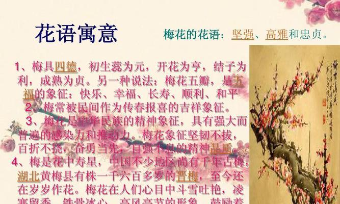 梅花的花语有哪些？梅花象征着什么？