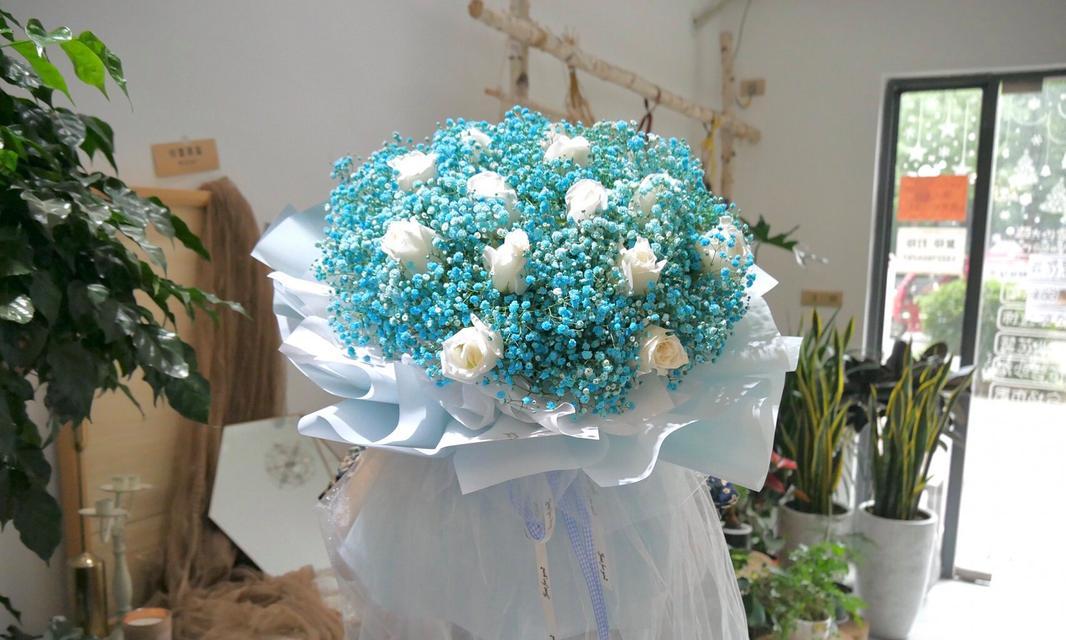 海岛繁星花语代表什么？
