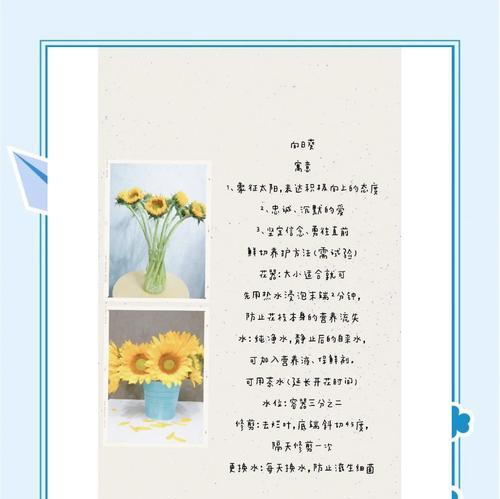 积极花语寓意是什么？如何用花语表达积极态度？