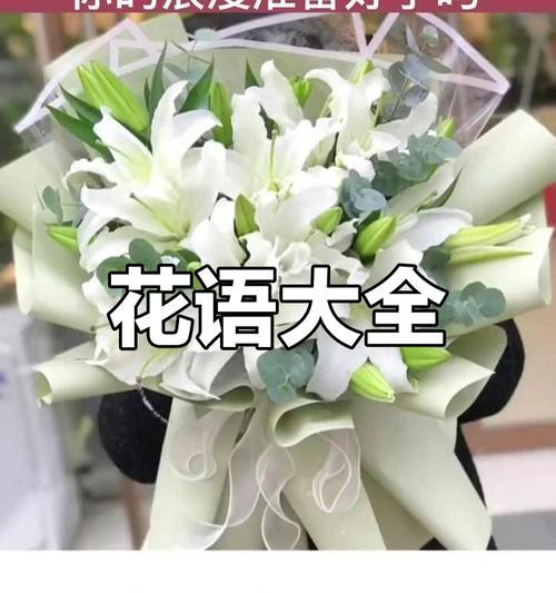 毕业简短花语怎么说？有哪些适合毕业的花语？