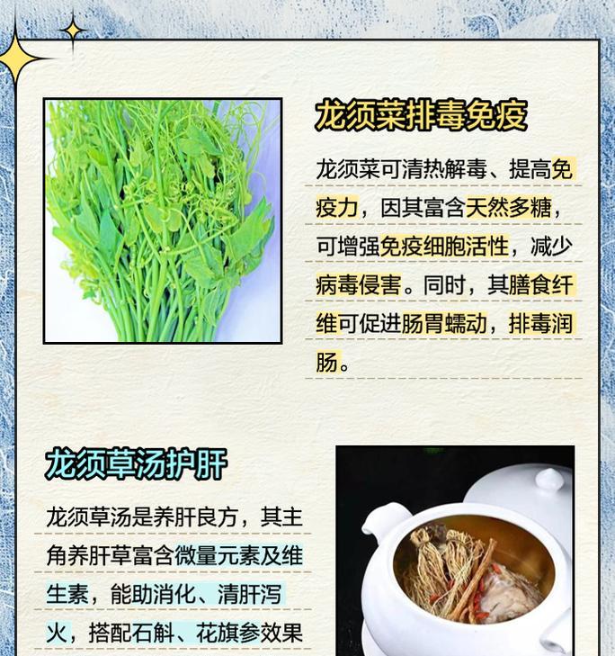 龙须铁花语是什么？如何用龙须铁表达情感？