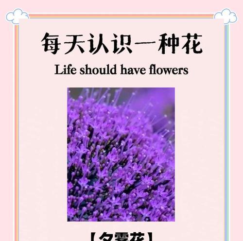 花语故事传说有哪些？花语背后隐藏了哪些传说？