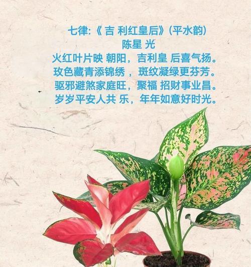 皇后植物花语是什么？皇后植物代表了哪些情感？