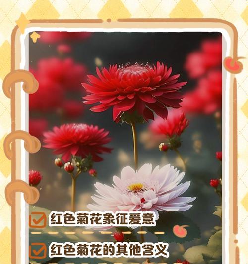 菊花传说花语是什么？菊花有哪些传说故事？