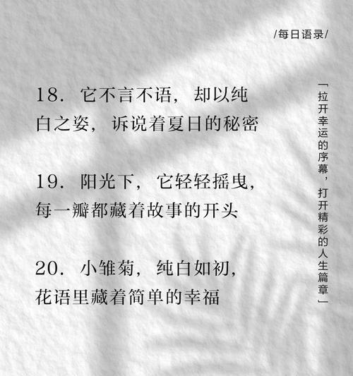 雏菊的话花语是什么？雏菊有哪些寓意？