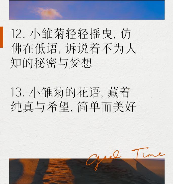 雏菊的话花语是什么？雏菊有哪些寓意？