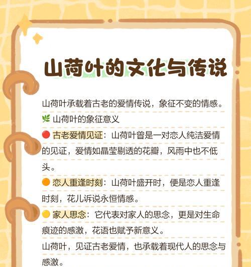 端午节荷叶的花语寓意了什么？