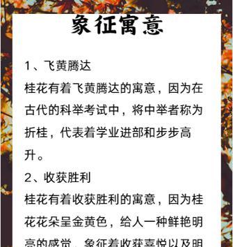 桂花不同颜色的花语分别代表什么？