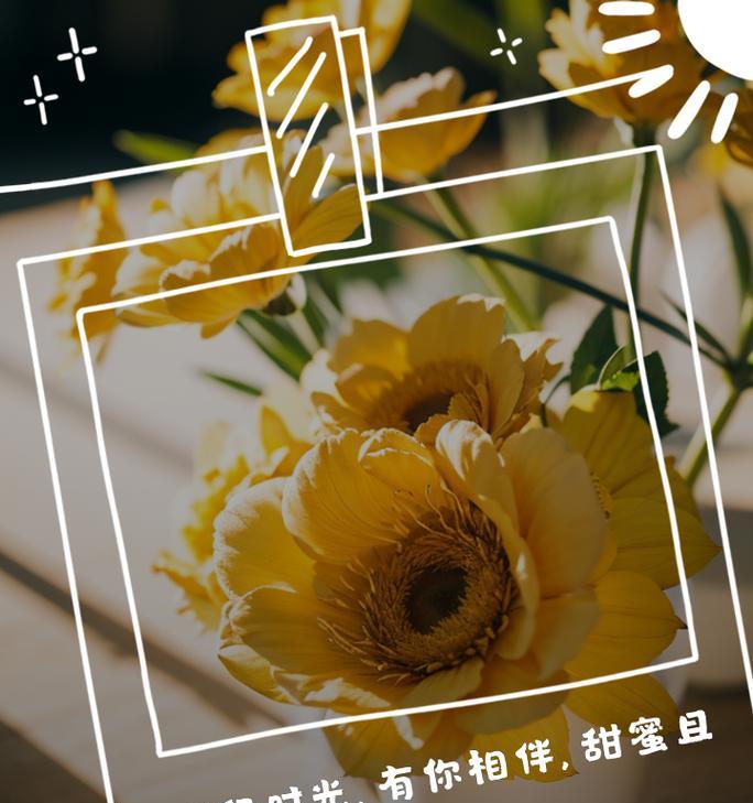 初恋植物的花语有哪些？如何表达初恋情感？