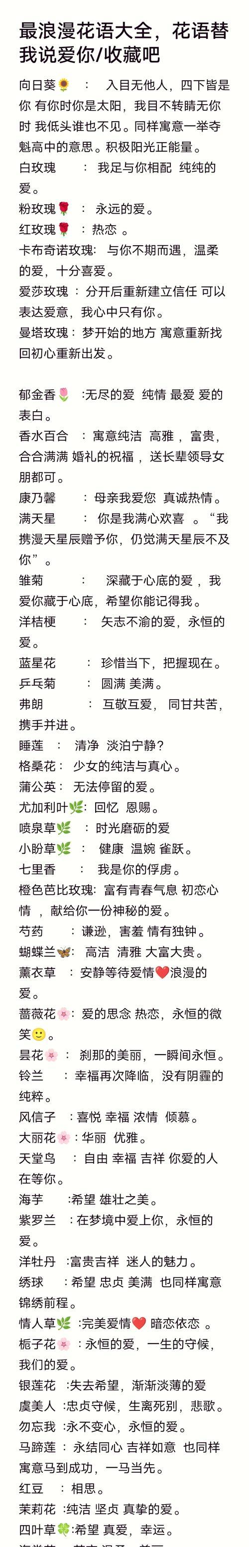 如何用花语表达温柔生长的情感？