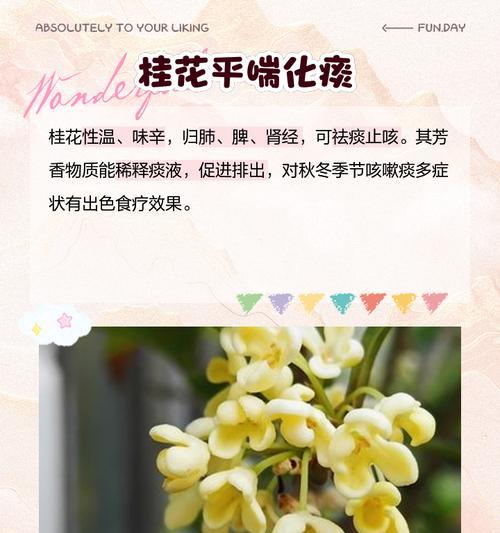 桂花的伤感花语有哪些？如何表达哀愁？