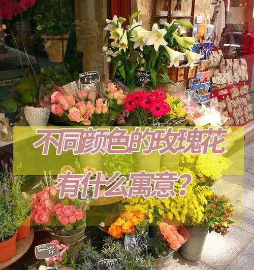 天目当归的花语有哪些？它代表了什么？