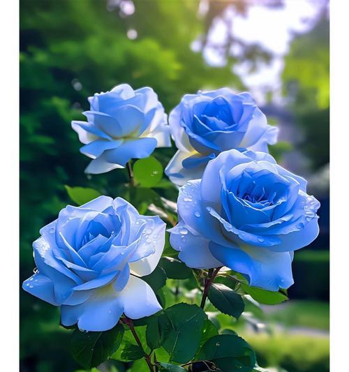 蓝色浪漫花语代表什么？如何用蓝色花表达浪漫？