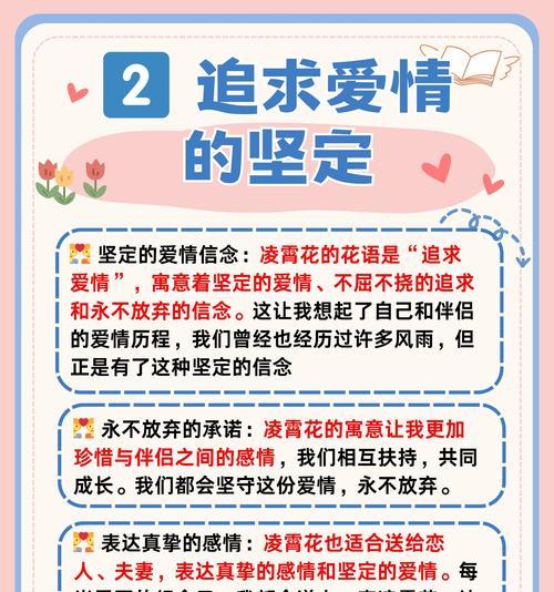 如何用花语表达爱情的长久？哪些花代表永恒？