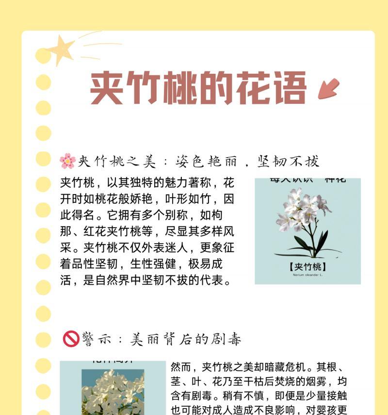 不同种类的竹子花语有何不同？如何选择？