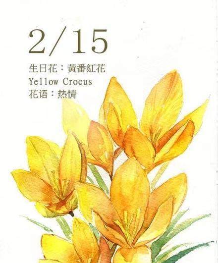 希腊传说中的花语有哪些？它们代表什么？