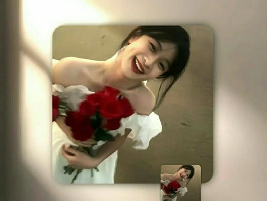 孔雀气垫的花语是什么？如何选择合适的花语？